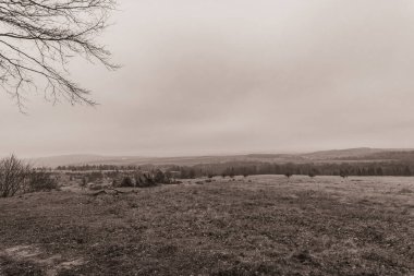 Landscapes, Forest, Carpathians, Photos of nature -Black and white photos, monochrome photos - Europe, Eastern Europe