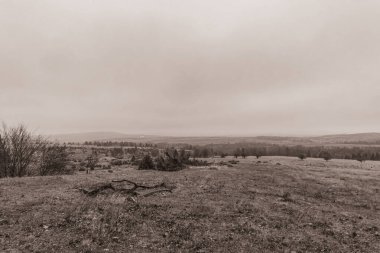 Landscapes, Forest, Carpathians, Photos of nature -Black and white photos, monochrome photos - Europe, Eastern Europe