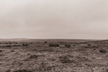 Landscapes, Forest, Carpathians, Photos of nature -Black and white photos, monochrome photos - Europe, Eastern Europe