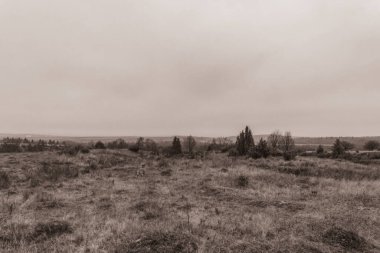 Landscapes, Forest, Carpathians, Photos of nature -Black and white photos, monochrome photos - Europe, Eastern Europe