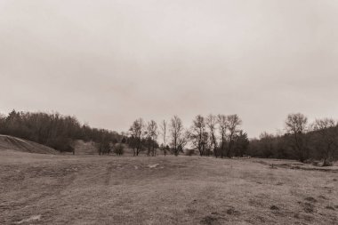 Landscapes, Forest, Carpathians, Photos of nature -Black and white photos, monochrome photos - Europe, Eastern Europe