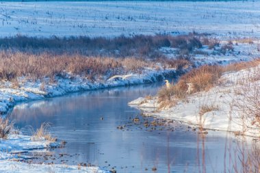 Önünde bir göl ve bir ağaç olan kış manzarası.
