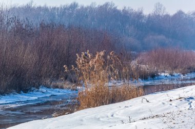 Kış manzaralı donmuş nehir.