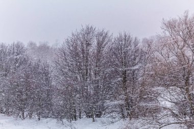Kar kış manzarasını kapladı