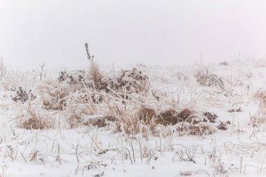 Kış manzarası. karla kaplı alan