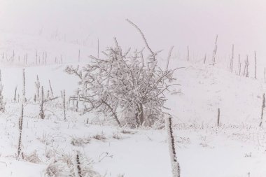Güzel karlı kış manzarası dağlarda.