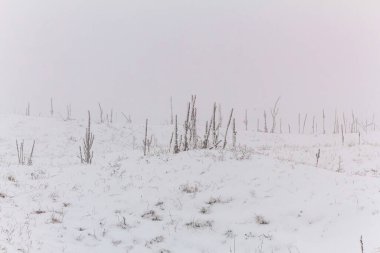 Karla kaplı bir dağda kış manzarası