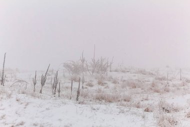Ağaçlı ve karlı güzel bir manzara.