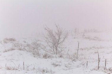 Kışın güzel bir manzara