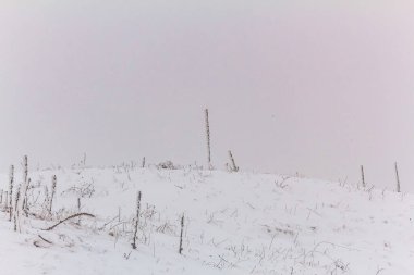 Karla kaplı ağaçlarla kaplı kış manzarası
