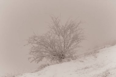 Dağların güzel manzarası