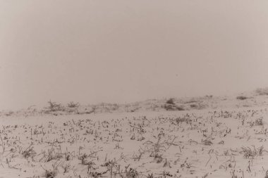 Dağlarda kış manzarası