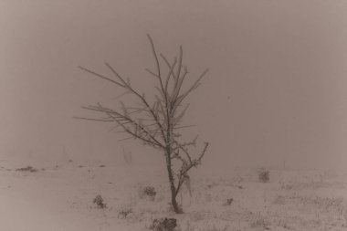 Dağların güzel manzarası