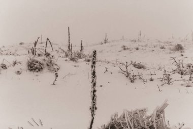 Eski ahşap bir çitin güzel manzarası