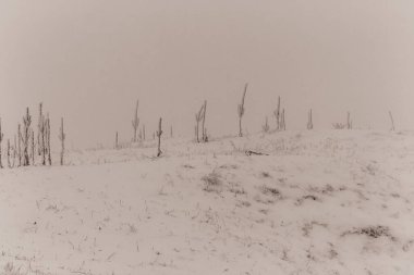 Karlı güzel kış manzarası