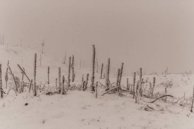 Donmuş karla kaplı alanın dikey görüntüsü.