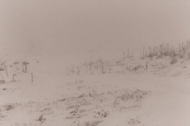 Şehrin güzel manzarası