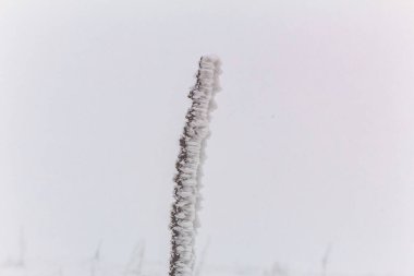 Kışın buz. kış doğası.