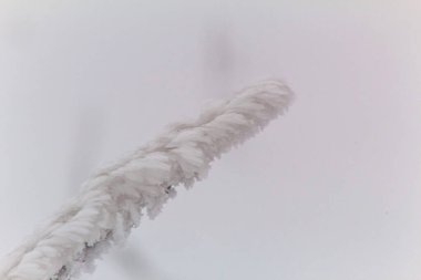 Makro fotoğraf, Hayvanlar, Doğa - Urope, Doğu Avrupa