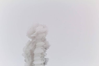 Makro fotoğraf, Hayvanlar, Doğa - Urope, Doğu Avrupa