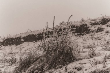 Karpatlar 'ın dağlarında kış manzarası.