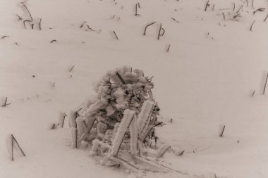 Kardaki eski ahşap çit