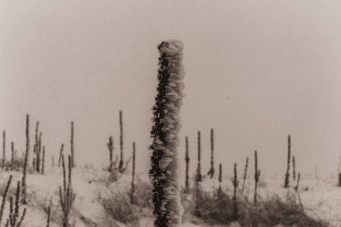 Karlı kış manzarası