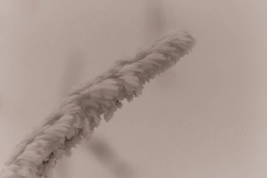 Kar kristalleri, görüntüyü kapat