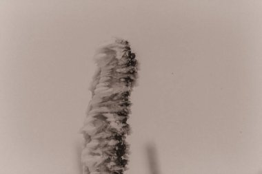 Doğanın güzel manzarası