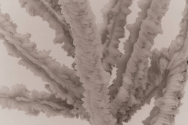 gri arkaplan, beyaz suluboya boya dokusu