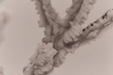 siyah ve beyaz fotoğraf, soyut suluboya boya