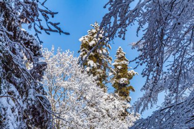 Dağlardaki güzel kış manzarası