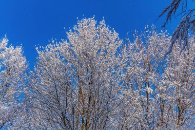 Dağlarda kış manzarası