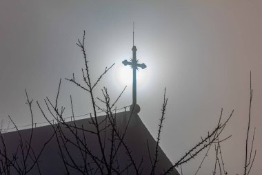 Gün batımı ışığı olan bir ağaçta çapraz