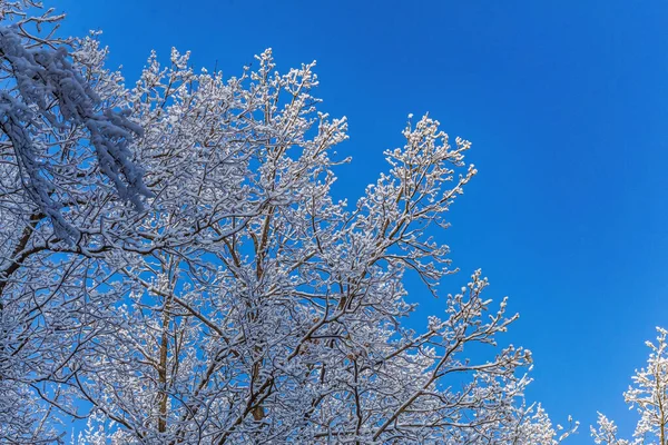 güzel karlı kış manzara