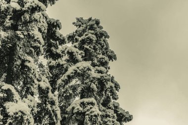 Dağların güzel manzarası. seyahat, doğa