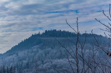 Karpat Dağlarının kış manzarası