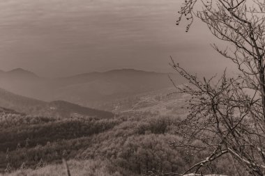 Karpat Dağları 'ndaki güzel manzara