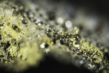 Su damlaları bir mağarada