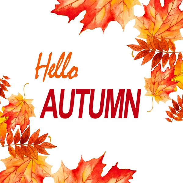 Gyűjtemény gyönyörű színes őszi levelek elszigetelt fehér background — Stock Fotó
