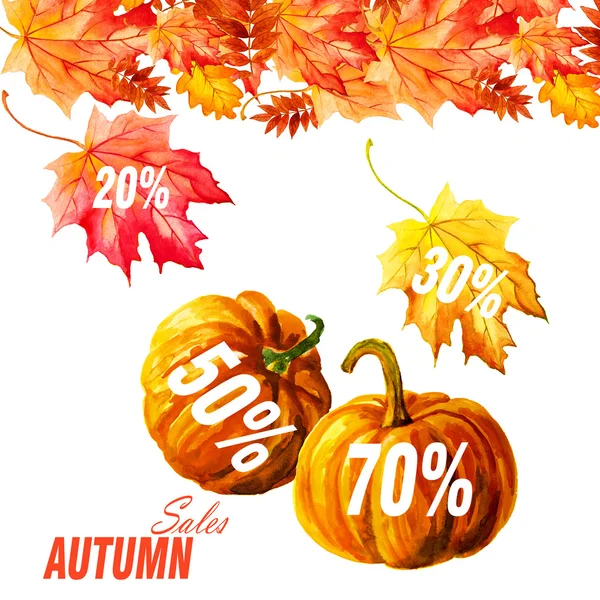 Colección hermosas hojas de otoño de colores aislados sobre fondo blanco —  Fotos de Stock