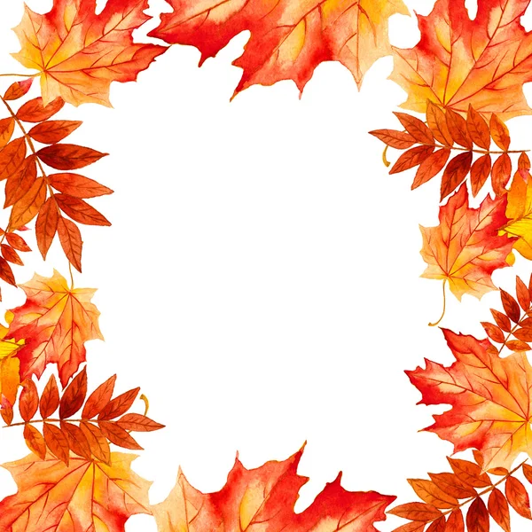 白い背景の上コレクション美しい紅葉の分離 — ストック写真