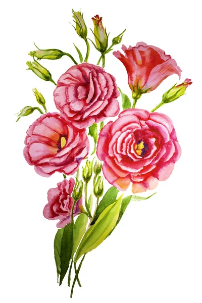 Ein schöner kunstvoller weißer und lila Lisianthus-Zweig, Eustoma-Blüten auf weißem Hintergrund — Stockfoto