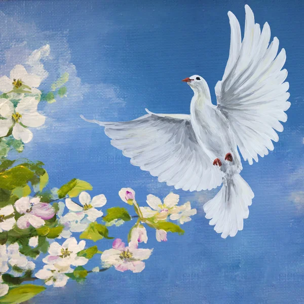 Вільний літаючий білий голуб — стокове фото