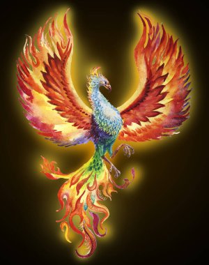 Phoenix kuş suluboya çizimi koyu arkaplanda