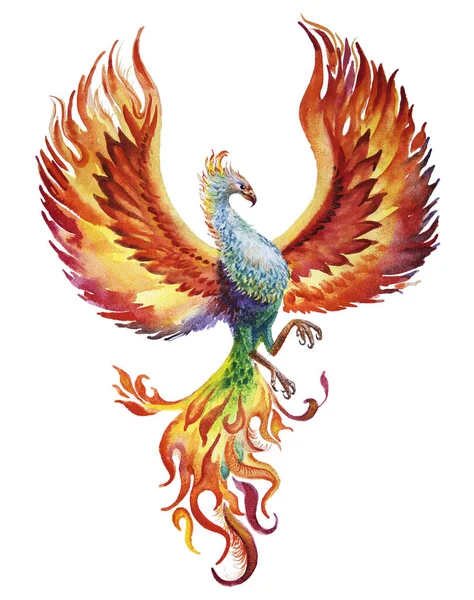 Tribal Bird Gradient Colours  Drawing Easy Phoenix Bird HD Png Download   vhv
