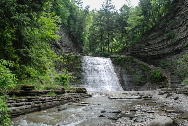 Stony Brook State Park şelale, New York, ABD