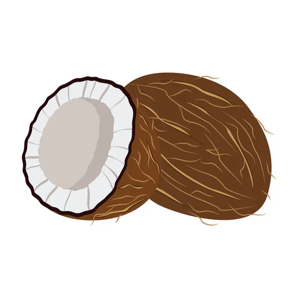 Kokosnoot icoon set. Vruchten ontwerp vector illustratie ontwerp geïsoleerd — Stockvector