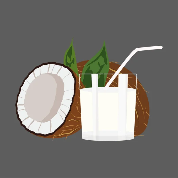 Coconut milk set icon vector illustration design — Stock Vector