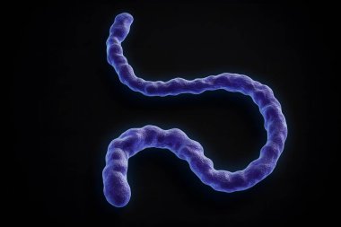 Marburg sözcüğünün siyah arka plan üzerine el yazısı, Marburg virüsü farkındalığını, kanamalı ateş salgınlarını, enfeksiyon kontrolünü ve küresel halk sağlığı olaylarını sembolize ediyor.